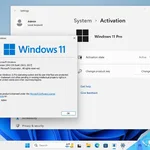 Windows 11 Pro 23H2 专业版