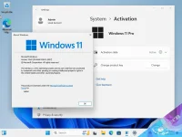 Windows-11-Pro-23H2.webp