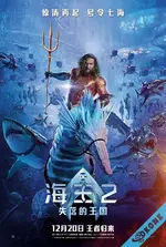 海王2：失落的王国 Aquaman and the Lost Kingdom (2023) 中文简繁字幕