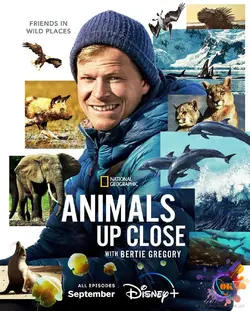 贝尔蒂·格雷戈里：与动物零距离 Animals Up Close with Bertie Gregory (2023)